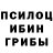 Псилоцибиновые грибы Psilocybe Romana Igor