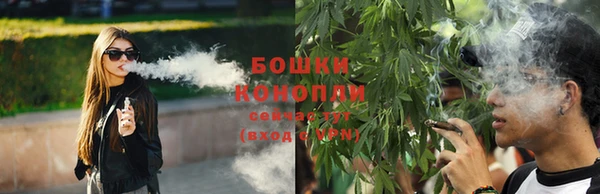 spice Алексин