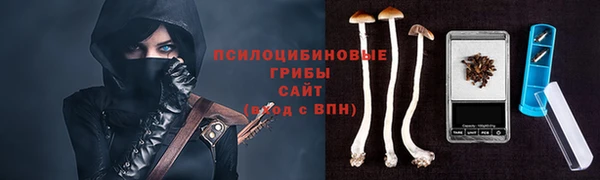 не бодяженный Абаза