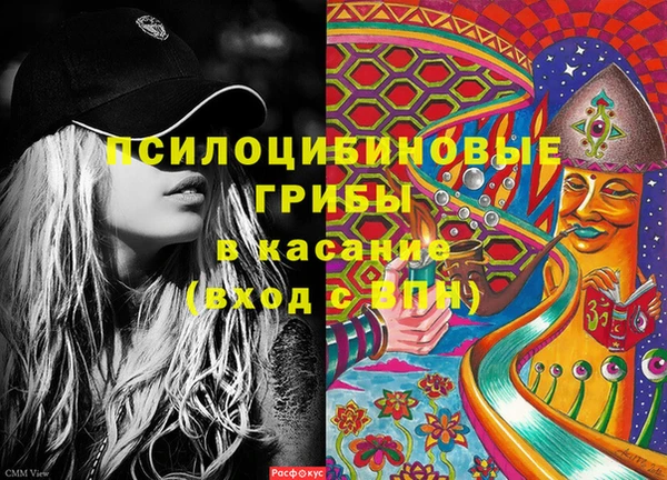 мдпв Абинск