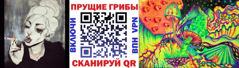мега сайт  что такое   Мостовской  Галлюциногенные грибы Psilocybine cubensis 